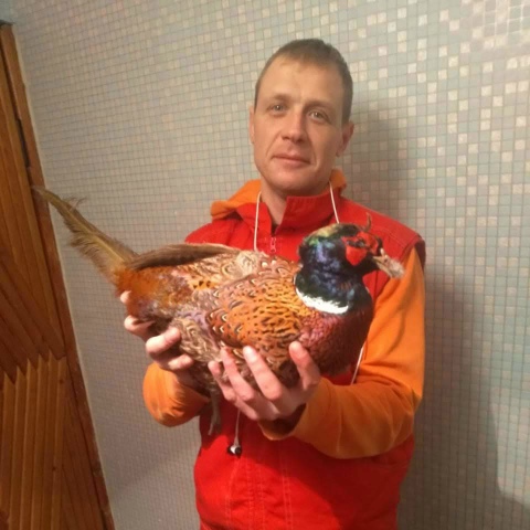 Денис Шевченко